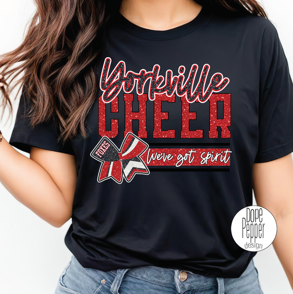 Yorkville Cheer - We've Got Spirit