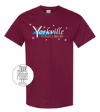 Yorkville Public Library - Snowflake Logo
