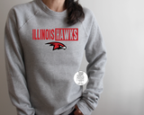 Il Hawks Softball