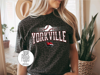 Yorkville Foxes Baseball