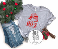 There's some Ho's in this house Santa shirt, Matching Christmas Shirts, Christmas 2020, Funny Christmas shirt